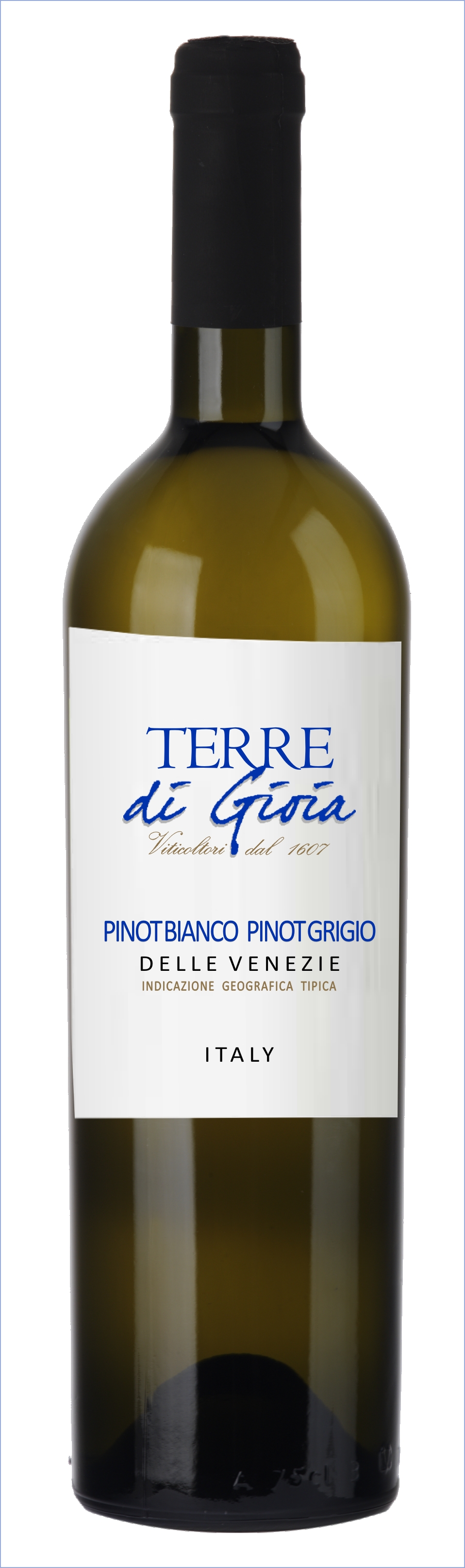 Terre di Gioia - Pinot Bianco/Pinot Grigio